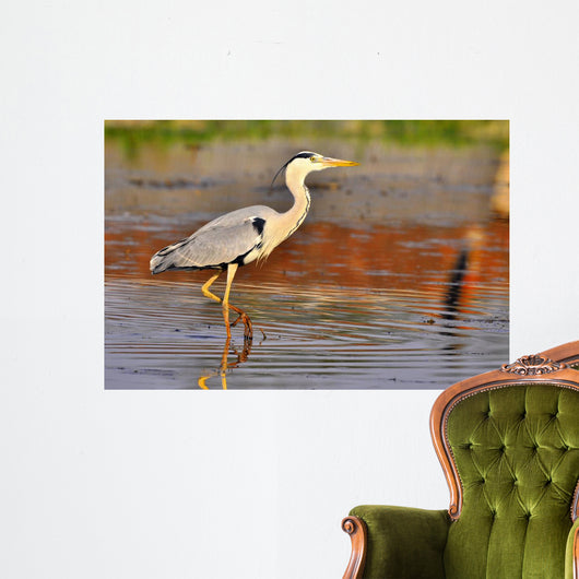 Airone Heron Wall Decal Design 3