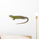 Lizard Wall Decal