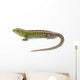 Lizard Wall Decal