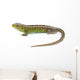 Lizard Wall Decal