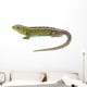 Lizard Wall Decal