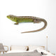 Lizard Wall Decal