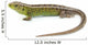 Lizard Wall Decal