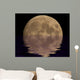 Full Moon Reflection Wall Decal