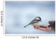 Chickadee Wall Decal