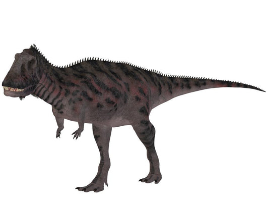 Majungasaurus Crenatissimus-3d Dinosaurs Wall Decal Design 2