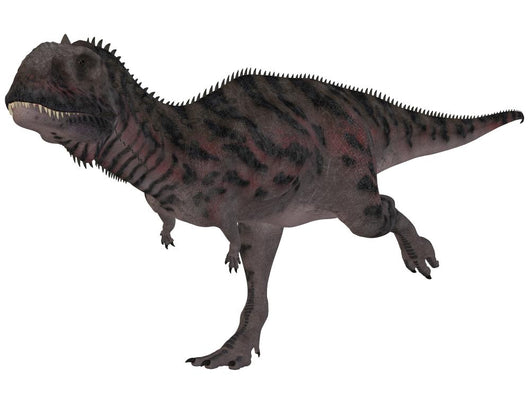 Majungasaurus Crenatissimus-3d Dinosaurs Wall Decal Design 1