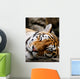 Sleeping Tiger Wall Decal