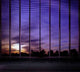 Beautiful Sunset Wall Decal