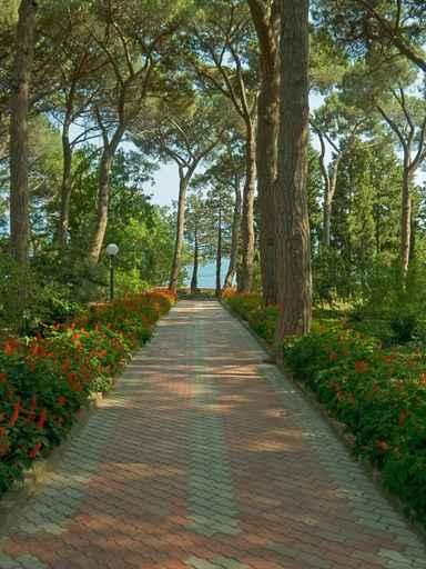 Pathway to Sea Wall Decal