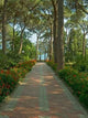 Pathway to Sea Wall Decal