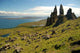 Man Storr Wall Decal