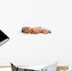Baby Girl Wall Decal