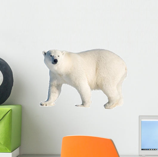 Polar Bear Wall Decal