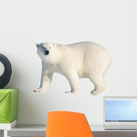 Polar Bear Wall Decal