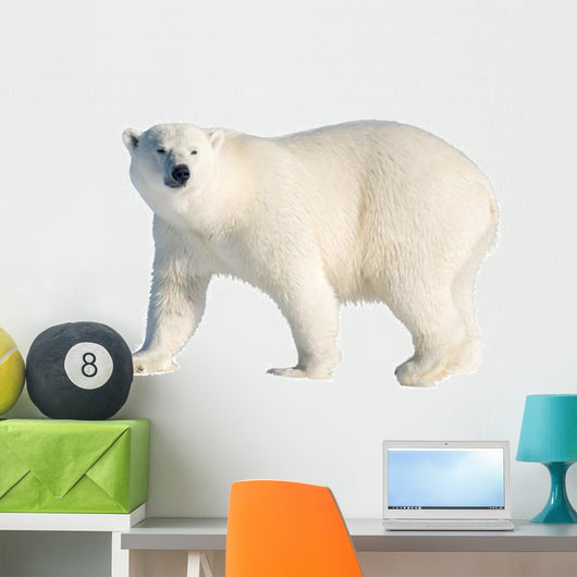 Polar Bear Wall Decal
