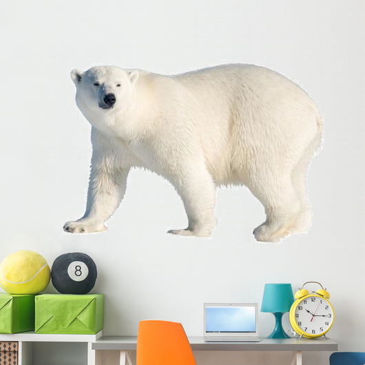 Polar Bear Wall Decal
