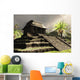 Ancient Mayan Ruins Wall Decal