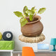 Holy Basil Clay Pot Wall Decal
