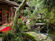 Japanese Garden Wall Decal Design 1
