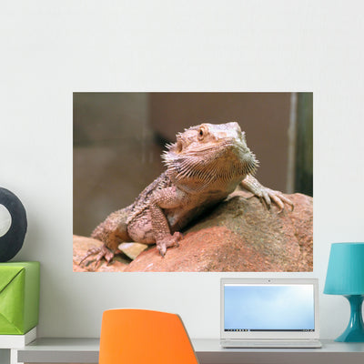 Bearded Dragon Wall Decal Design 2 shown on a wall