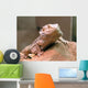 Bearded Dragon Wall Decal Design 2