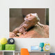 Bearded Dragon Wall Decal Design 2