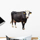 Black Cow with White Face Wall Decal
