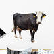 Black Cow with White Face Wall Decal