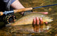 Trout Wall Decal