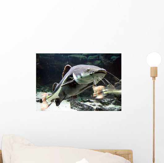 Big Catfish Wall Decal