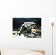 Big Catfish Wall Decal