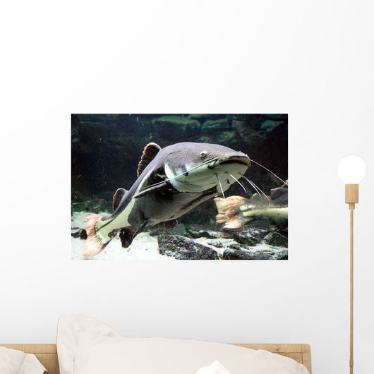 Big Catfish Wall Decal