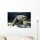 Big Catfish Wall Decal