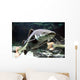 Big Catfish Wall Decal
