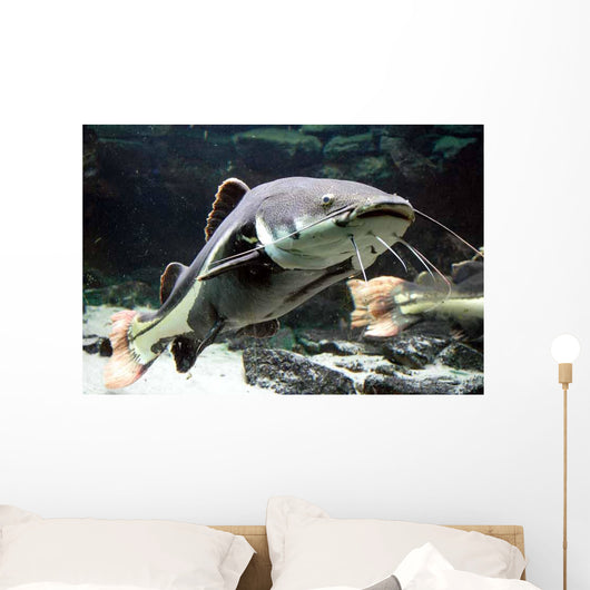 Big Catfish Wall Decal