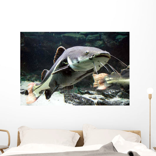 Big Catfish Wall Decal