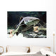 Big Catfish Wall Decal