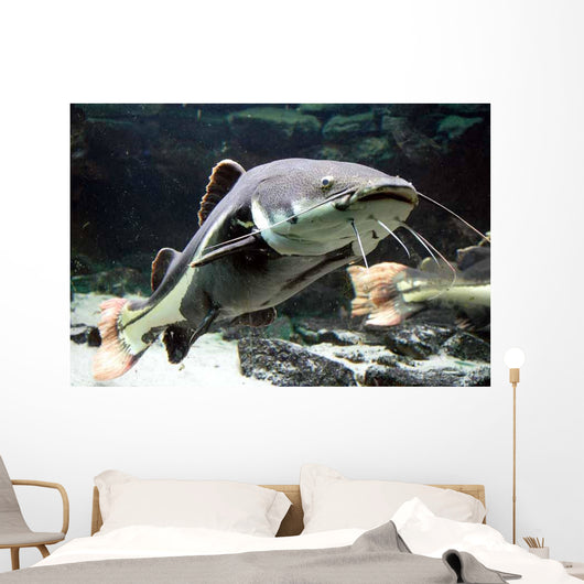 Big Catfish Wall Decal