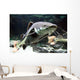 Big Catfish Wall Decal