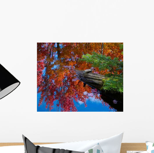 Fall Colors Wall Decal Design 2