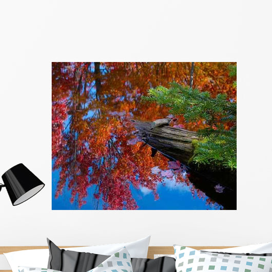 Fall Colors Wall Decal Design 2