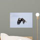 Mature Bald Eagle Flying Wall Decal