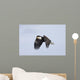 Mature Bald Eagle Flying Wall Decal