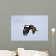Mature Bald Eagle Flying Wall Decal
