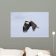 Mature Bald Eagle Flying Wall Decal