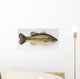 Large Mouth Bass Wall Decal