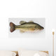 Large Mouth Bass Wall Decal