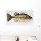 Large Mouth Bass Wall Decal