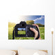 Beautiful Spring Landscape with Wall Decal
